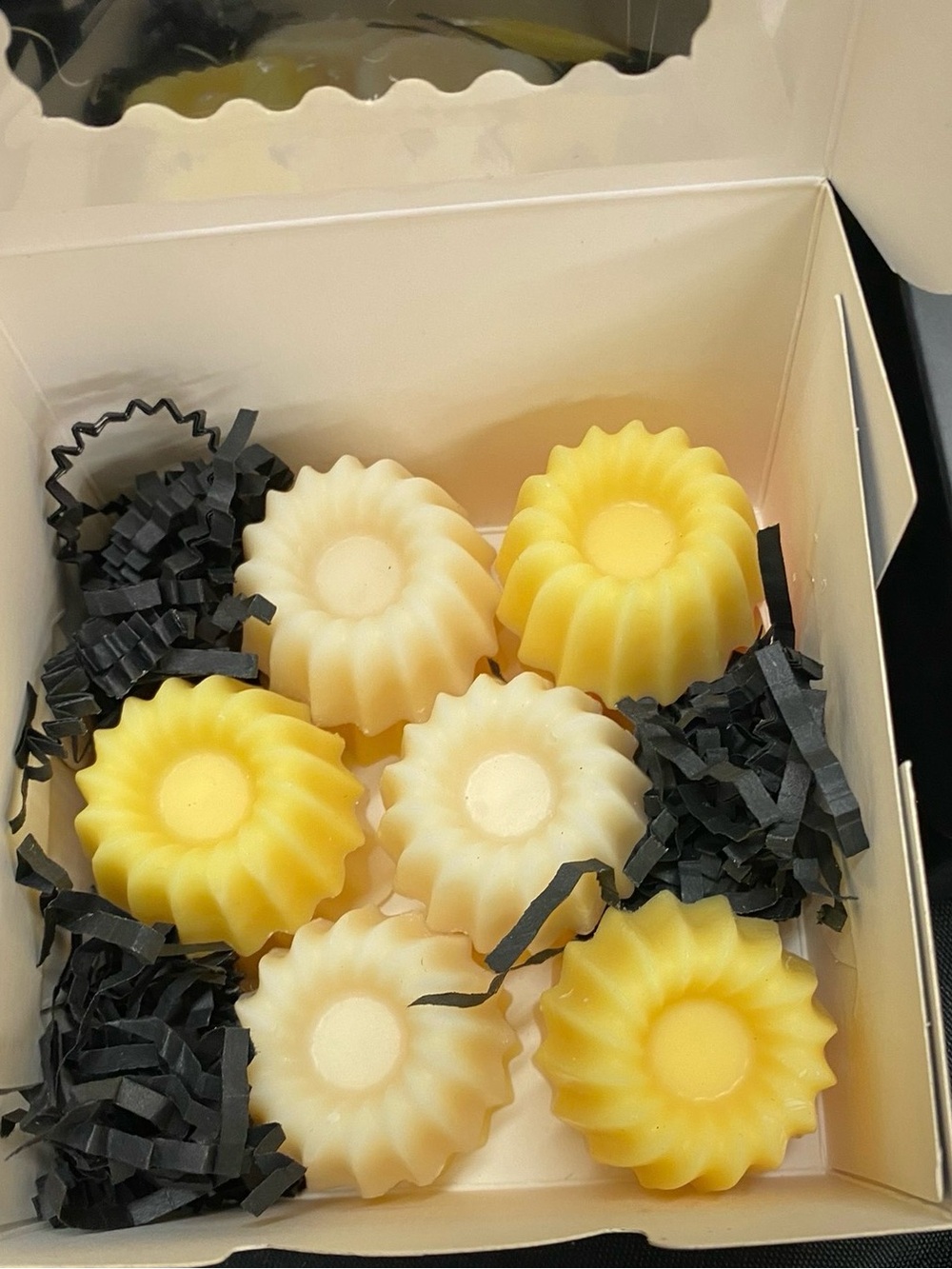 WAX MELTS